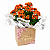 Kalandiva Laranja Premium – Flor da Fortuna e Felicidade - Imagem 1