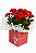 Kalandiva Vermelha Premium – Flor do Amor, Paixão e Energia - Imagem 2