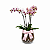 Duo Mini Orquídea Exotic Vaso Conhaque - Imagem 1