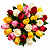 Buquê Signature Colors 24 Rosas - Imagem 1