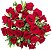 Buquê Especial 24 Rosas Vermelhas - Imagem 1