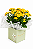Kalandiva Amarela Premium – Flor da Prosperidade, Alegria e Luz - Imagem 1