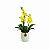 Mini Orquídea Colorida Love is Sweet - Imagem 1