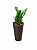 Vaso Zamioculca Plantada Presente - Imagem 1