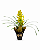 Orquídea Cymbidium Amarela 3 Hastes - Imagem 1