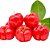 Acerola - 4 Embalagens de 400g - Imagem 1