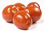 Tomate Italiano - Caixa com 18kg - Imagem 1