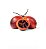 Tamarilho - 4 Embalagens de 250g - Imagem 1