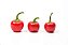Pimenta Bode Vermelha - Caixa com 1 kg - Imagem 1