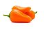 Pimenta Fidalga - Caixa com 1 kg - Imagem 1