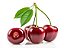 Cereja Importada Fresca - 5 kg - Imagem 1