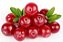 Bubble Tea - CRAMBERRY - Bubble Pearls Popping 3,4kg - Imagem 2