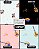 PAPEL DE PAREDE - INFANTIL - Imagem 5
