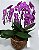 Orquídea no Vaso Luxo - Imagem 2