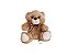 Urso Carinhoso - Imagem 1