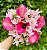 Buquê de Noiva com Calas Rosas - Imagem 1