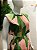 VESTIDO OMBREIRA  TROPICALIST FARM - Imagem 4