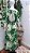 VESTIDO CROPPED TROPICAL VERDE FARM - Imagem 5