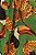VESTIDO CURTO TOUCANANA FARM - Imagem 5