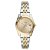 Relógio Fossil Feminino Scarlette Bicolor ES4949/1XN - Imagem 1