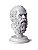 Sócrates | Escultura | Busto | Filósofo Grego | decoração, busto, presente, filosofia, arte original | Escultor André Waiga - Imagem 2