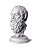 Sócrates | Escultura | Busto | Filósofo Grego | decoração, busto, presente, filosofia, arte original | Escultor André Waiga - Imagem 3