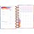Agenda 2024 Great Diária Espiral Capa Dura M6 (14 X 20cm) 176 Folhas Tilibra Ref: 347833 - Imagem 6