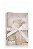 Kit Carro 150ml Dourado - Imagem 1