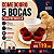 Comedouro 5 Bocas Anti-desperdício para Pintinhos - Exclusivo Criatório Neves - Imagem 2