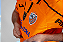 CAMISA OFICIAL LARANJA 2026 - Imagem 10