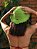 Bucket Hat de Crochê Solar Kiwi - Imagem 2