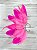 Ear Cuff Penas Rosa Neon - Imagem 2