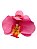 Presilha Piranha de Cabelo Flor Orquídea - Imagem 14