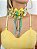 Choker dos Sonhos G. Offer BR - Imagem 3