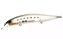 Isca Artificial Duo Realis Jerkbait 110SP - Imagem 6