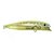 Isca Marine Sports Brava 77 - Imagem 1