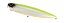 Isca artificial Duo Realis Pencil 100 - Imagem 12