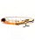 Isca Jackall Bonnie 107 - Imagem 10