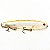 Isca Artificial Jackall Bonnie 128 Silent - Imagem 4
