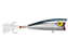 Isca Artificial Rebel Magnum Pop-R 65 - 7,6cm 14g - Varias Cores - Imagem 2