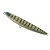Isca Artificial Ima Silent Salt Skimmer Grande 125SW - Imagem 7