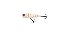 Isca Artificial Nitro Flash Popper 80 - Imagem 1
