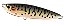 Isca Artificial Duo Fangripper 110 - Imagem 10