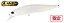 Isca Artificial Duo Realis Jerkbait 100F - Imagem 5