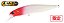 Isca Artificial Duo Realis Jerkbait 100F - Imagem 6