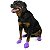 Pawz Roxa - Botas para Cães - Tamanho Large (Grande) - Imagem 1