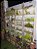 Jardim Vertical - Altura 20 X Largura 38,5 X Profundidade 14,5 cm - Imagem 2