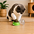 Bolinha Catnip com Suporte de Parede | DM Pets - Imagem 8
