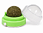 Bolinha Catnip com Suporte de Parede | DM Pets - Imagem 7