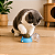 Bolinha Catnip com Suporte de Parede | DM Pets - Imagem 1